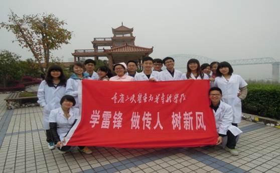 学雷锋,做传人,树新风